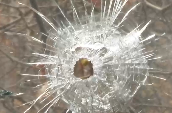 Narcotráfico, asaltos y balas perdidas: Vecinos del Parque Forestal denuncian falta de seguridad en el sector