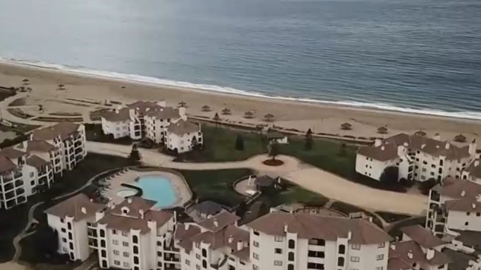 Denuncian presunto daño en bosques nativos: El polémico proyecto inmobiliario que intervino un cerro en Papudo