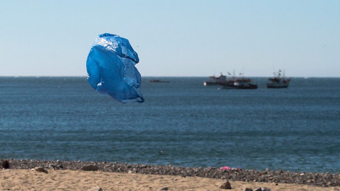 Soledad Acuña de Greenpeace: “En Chile, el 83% del plástico es generado por las grandes empresas”