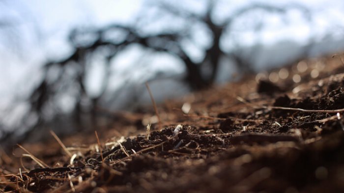 Climatólogo advierte sobre la sequía y el sistema económico: 