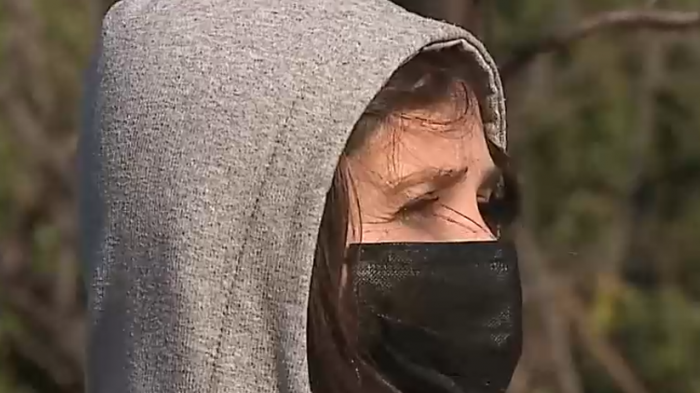 Hasta con armas de fuego: Vecinos denuncian constantes ataques y amenazas en el Cajón del Maipo