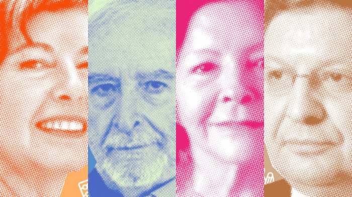 Mónica Rubio, Premio Nacional de Ciencias Exactas 2021: Destacan su hallazgo de galaxia enana con el radiotelescopio ALMA