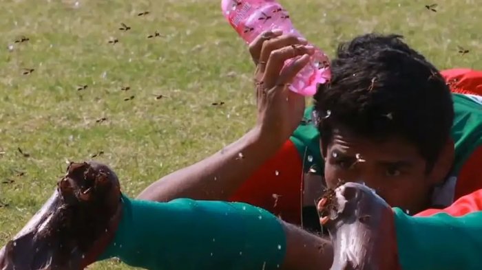 Partido de fútbol fue suspendido por abejas: Enjambre atacó a los jugadores