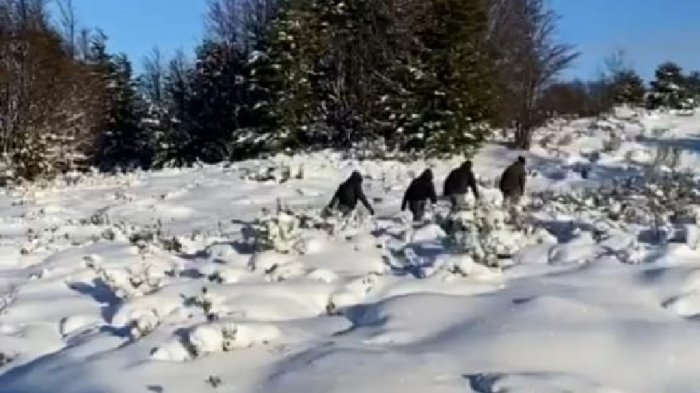 Confirman hallazgo del cuerpo de mujer que estaba desaparecida hace 53 días en Magallanes