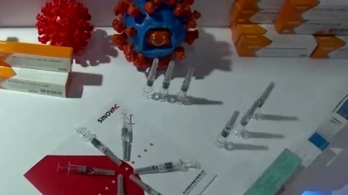 Piden la ampliación de vacunas Sinovac para niños y niñas ante falta de Pfizer