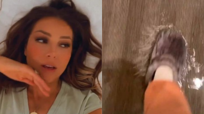 Thalía mostró cómo quedó su mansión por el huracán Ida: 