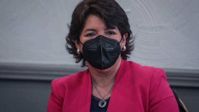 Provoste propone crear un Instituto Nacional de Lenguas Indígenas para 