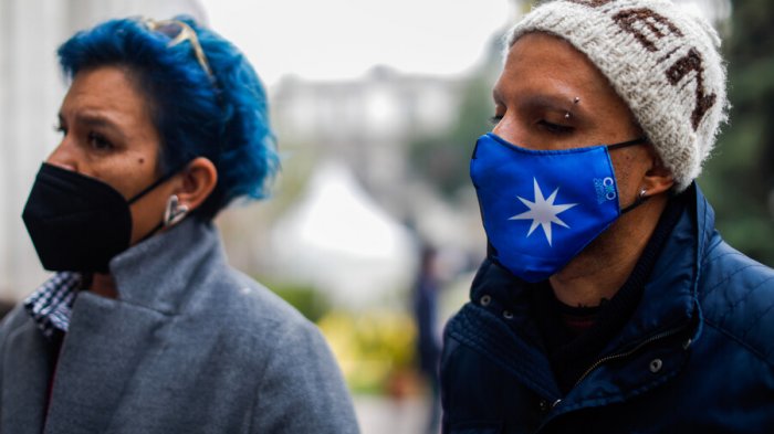 Convencional Alejandra Pérez defiende a Rojas Vade y afirma que “cayó porque mintió y porque se vio obligado a hacerlo