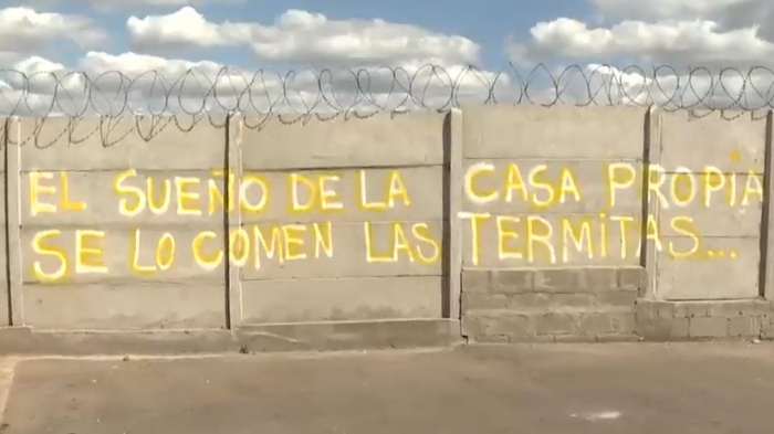 Casas nuevas invadidas por termitas: Familias piden a la inmobiliaria que responda por los daños