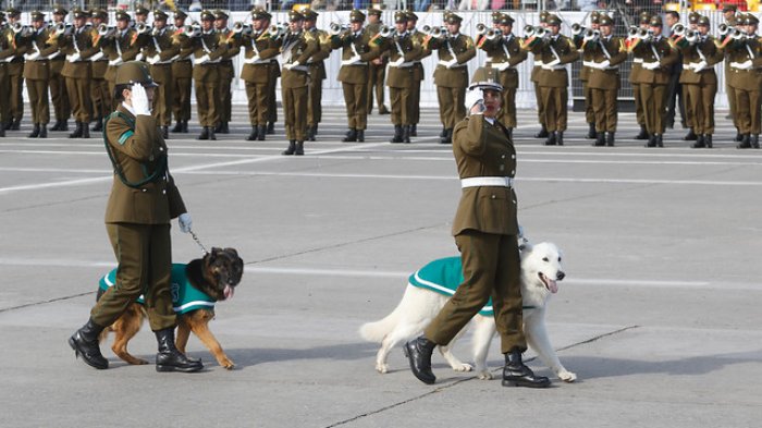 El 80% de la población está de acuerdo con suspender la Parada Militar 2021 según estudio de Data Influye