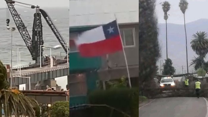 Con intensas marejadas, lluvias y caída de árboles: Usuarios reportan fuertes vientos en distintas zonas del país