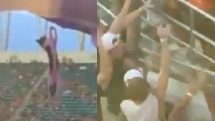 [VIDEO] Gatito cayó 20 metros desde el techo de un estadio y fue salvado por el público