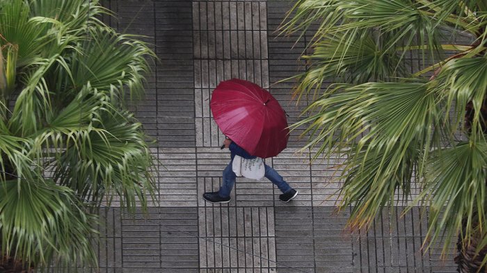 ¿Continúan las lluvias? Anuncian probabilidad de tormentas eléctricas para la zona central del país