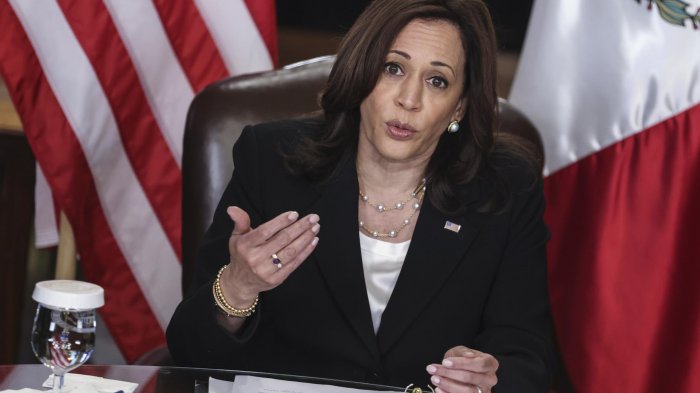 Enfermera acusada de amenazar de muerte a Kamala Harris se declaró culpable: Arriesga 5 años de cárcel