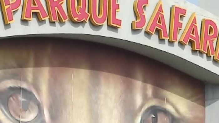 A un mes de la tragedia: Nuevas revelaciones por muerte de trabajadora en Safari de Rancagua