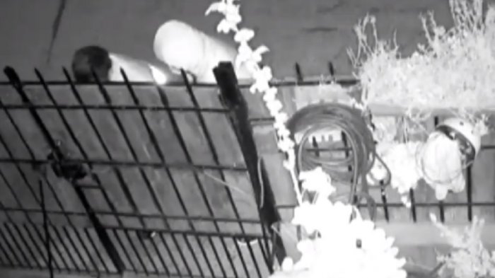 Fatal asalto: Delincuentes mataron a padre de cuatro hijos y huyeron en su auto