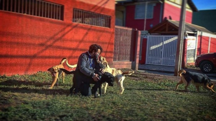 La noble labor de un joven quilicurano: Construyó un refugio para rescatar y rehabilitar a animales abandonados