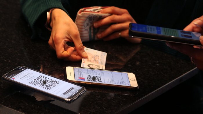 Pase de Movilidad: ¿Cómo obtenerlo y para qué sirve?