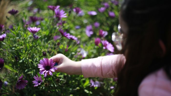 ¿Qué es el polen? Recomendaciones ante las molestas alergias de primavera