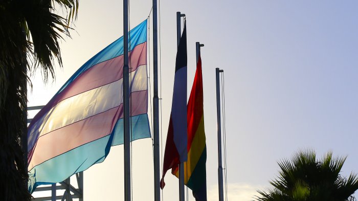 Guía de educación sobre identidades trans: ¿Existen diferencias?