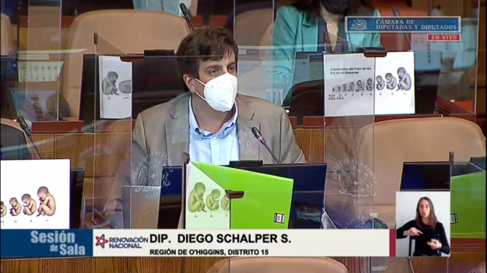 Diputado Schalper pidió minuto de silencio por las 