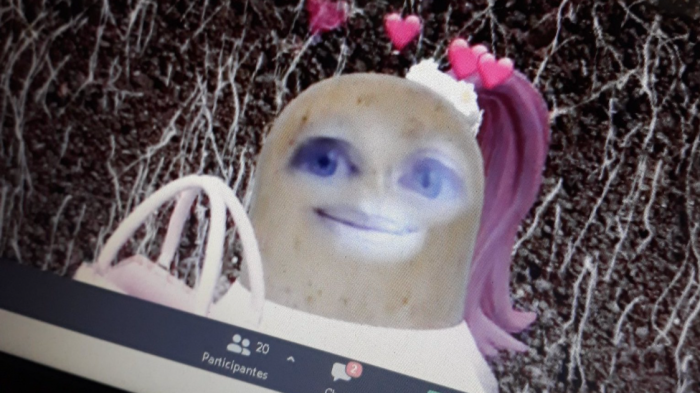 No sabía cómo sacarlo: Profesora tuvo que dar clase online con filtro que la dejó con cara de papa