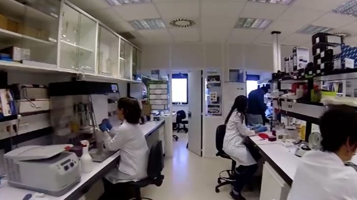 En qué consiste la inmunoterapia, la esperanza contra el cáncer