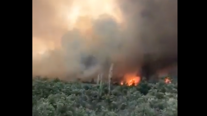 Autoridades llaman a evacuar: Alerta Roja por incendio forestal en Tiltil que deja al menos 12 casas afectadas