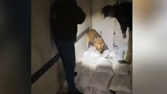 Detectan droga escondida en sacos de sal: Líder de la banda tenía vínculos con un cartel colombiano