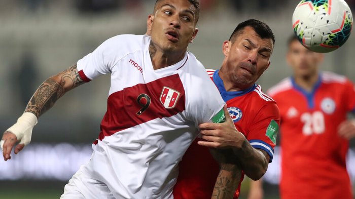 Medel pidió a los hinchas que alienten a la Roja: 