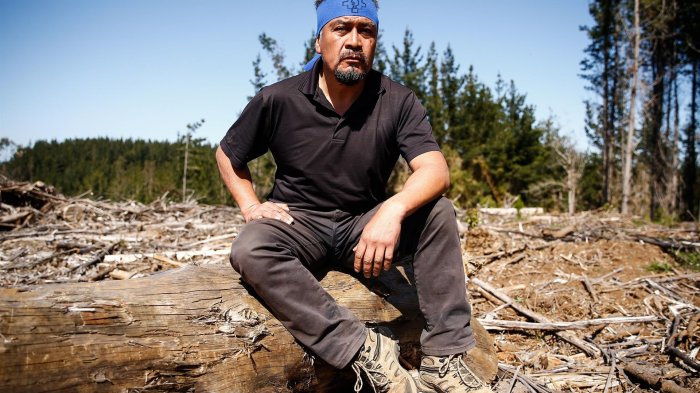 Héctor Llaitul respondió las declaraciones de Chahuán: 