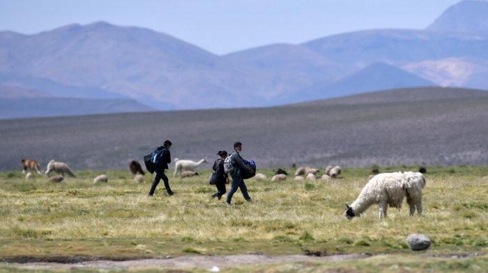 Confirman muerte de guagua de padres migrantes en Colchane: Llegó a centro asistencial sin signos vitales
