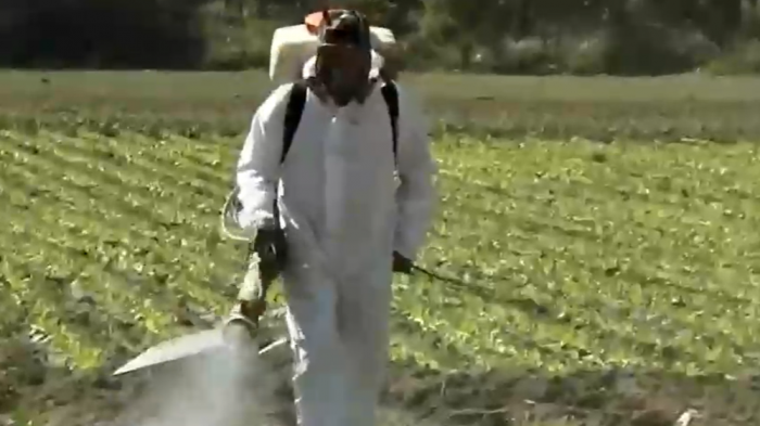 Demandan a Bayer por producto cancerígeno: Apuntan a herbicida que contiene glifosato