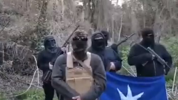 Comuneros de la Resistencia Territorial Mapuche abandonaron territorio de la Conaf tras asegurar que lo defenderían por la vía armada