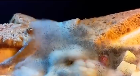 Revolución alimentaria: Laboratorio chileno buscar preservar el pan para evitar su desperdicio diario