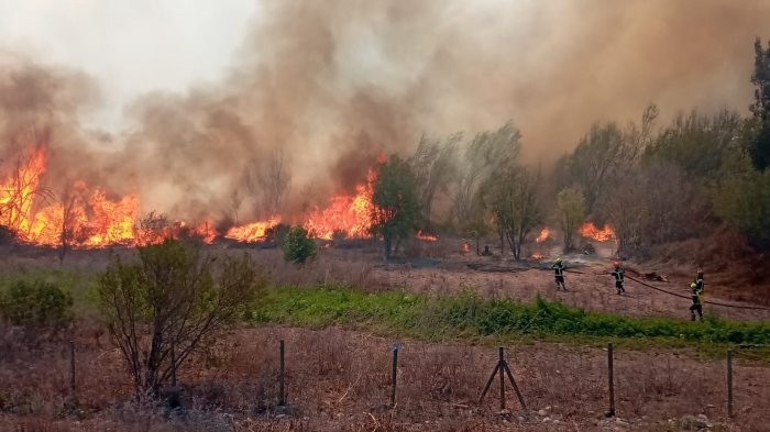 Alerta Amarilla en Panquehue: Incendio consumió varias hectáreas de vegetación