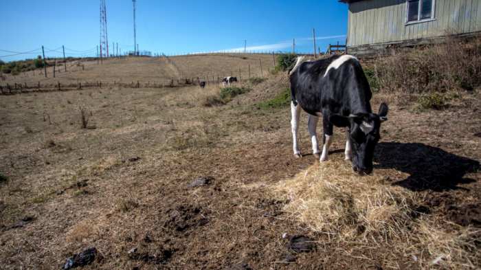 Récord con 172 comunas: 45% de la población en Chile está bajo decretos de escasez hídrica