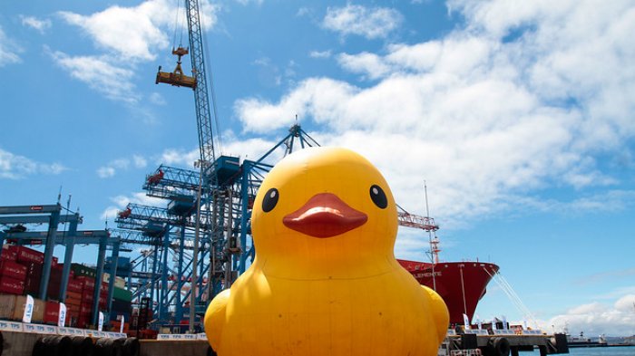 El regreso del pato de hule: ¿Cuándo llega a Chile y dónde podrá verse nuevamente?