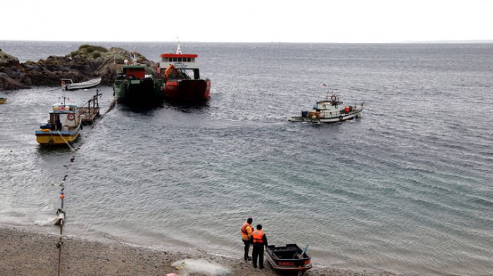 Propuesta impulsada por Vegetarianos Hoy busca prohibir la cocción de animales acuáticos vivos