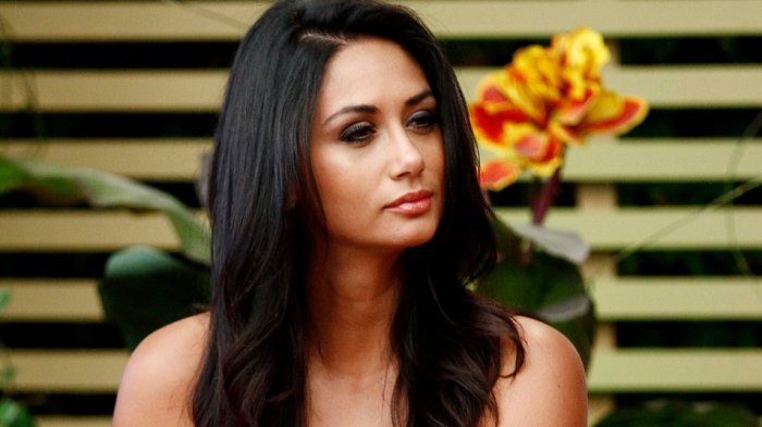 Pamela Díaz y su lucha por la pensión alimenticia de sus hijos: 