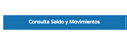 Vencimiento de tarjetas Bip!: Así puedes consultar tu saldo y último movimiento