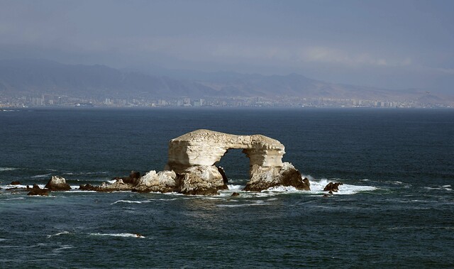 Vuelos desde $990 en destinos nacionales: Cómo comprar pasajes aéreos con tu Cuenta Rut