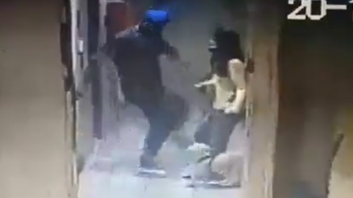 Mortal patada: Hombre mató a perro guía de mujer no vidente solo por haberle ladrado