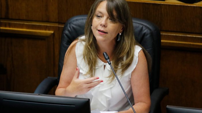 Ena Von Baer tras polémica con la Convención Constitucional: 