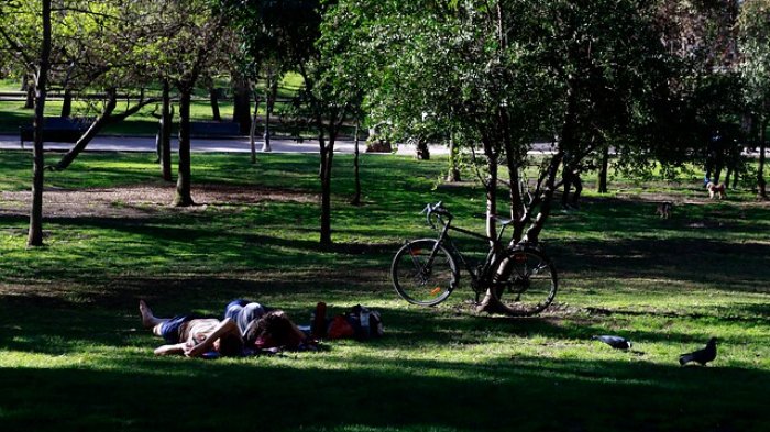 Alcaldesa de Santiago pidió considerar el rediseño de la Línea 7 de Metro: Asegura que dañará el Parque Forestal
