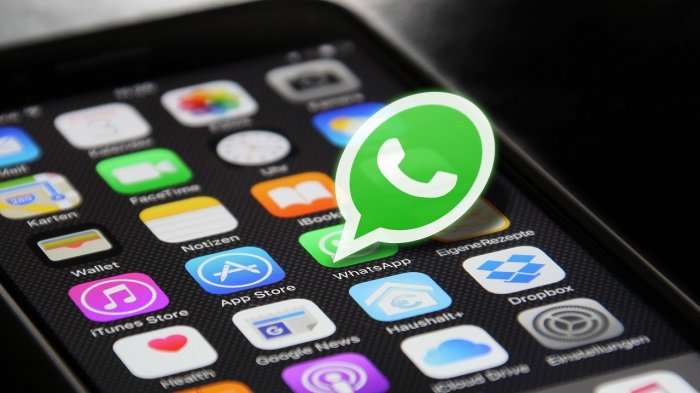 Desde noviembre: ¿En qué celulares iOS y Android dejará de funcionar WhatsApp?
