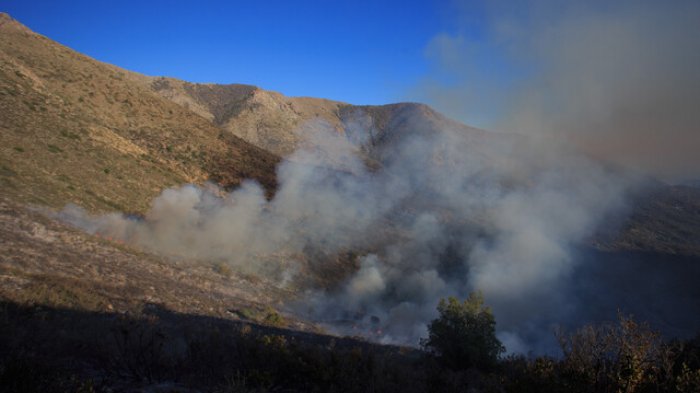 Alerta Roja en Ovalle por incendio forestal activo que amenaza a viviendas
