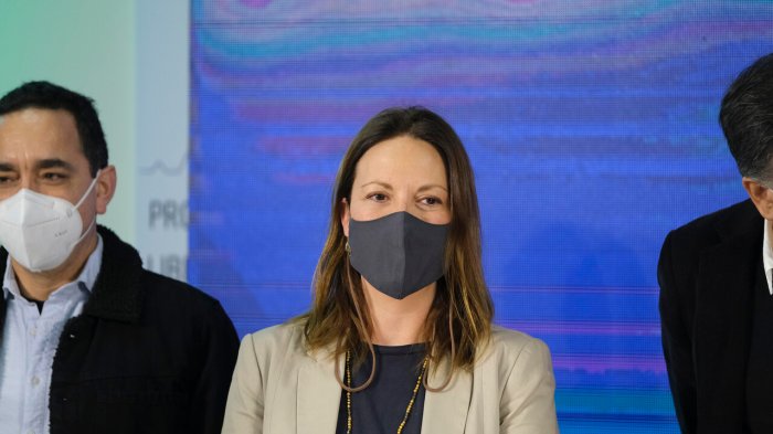 Natalia Piergentili, candidata a senadora por la RM: 