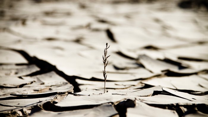 Las evidencias científicas del cambio climático a un día de la COP 26 en Glasgow