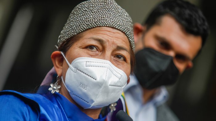 Loncon y apoyo de convencionales a candidatos a La Moneda: “No se debería presidencializar el trabajo de la Convención”